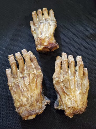 Mummified Bear Paws!